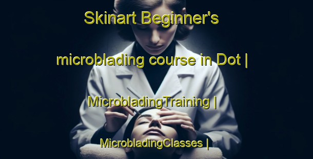 Skinart Beginner's microblading course in Dot | MicrobladingTraining | MicrobladingClasses | SkinartTraining-United States